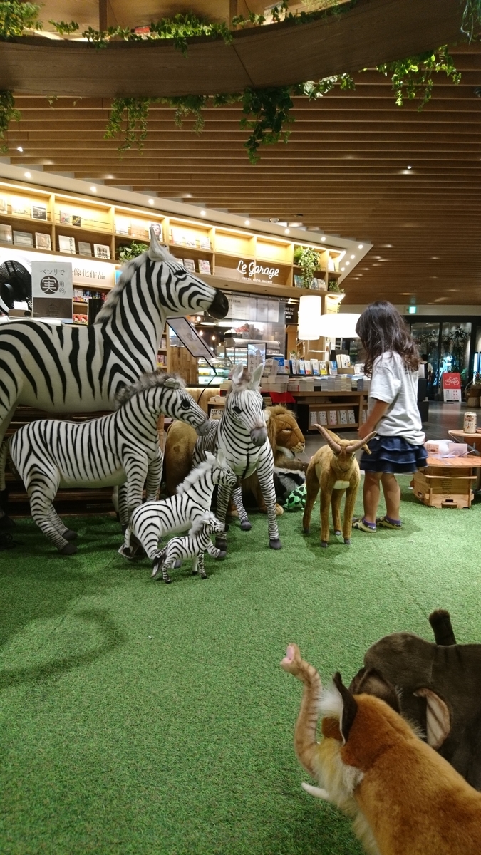 f:id:shoko-tabinikki:20190828082241j:plain f:id:shoko-tabinikki:20190828082241j:plain