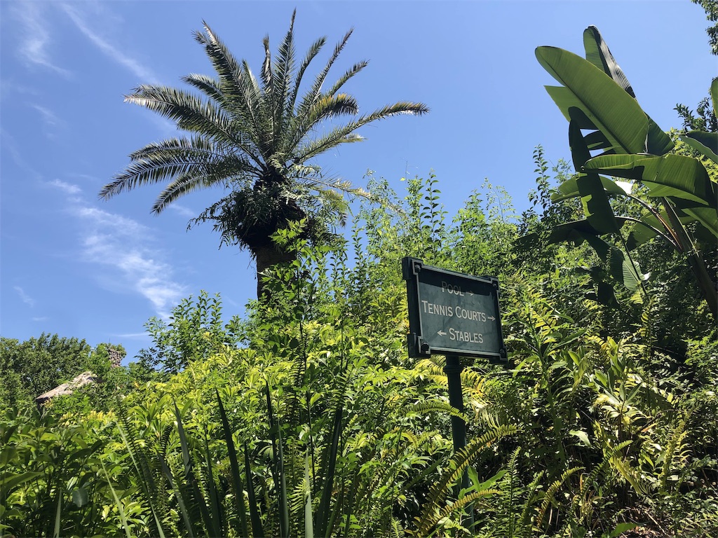 f:id:shoko_omd:20190918153903j:image f:id:shoko_omd:20190918153903j:image