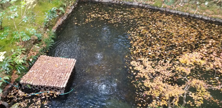 京都旅行をフルコースで味わいつくす旅。祇園でお茶屋さん遊び・老舗で頂くお料理