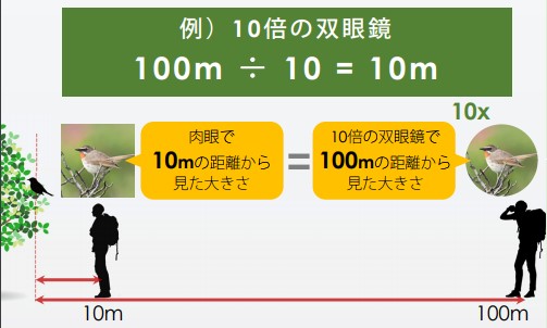 防振双眼鏡はドームでのライブ・コンサートに絶対おすすめ【口コミ】