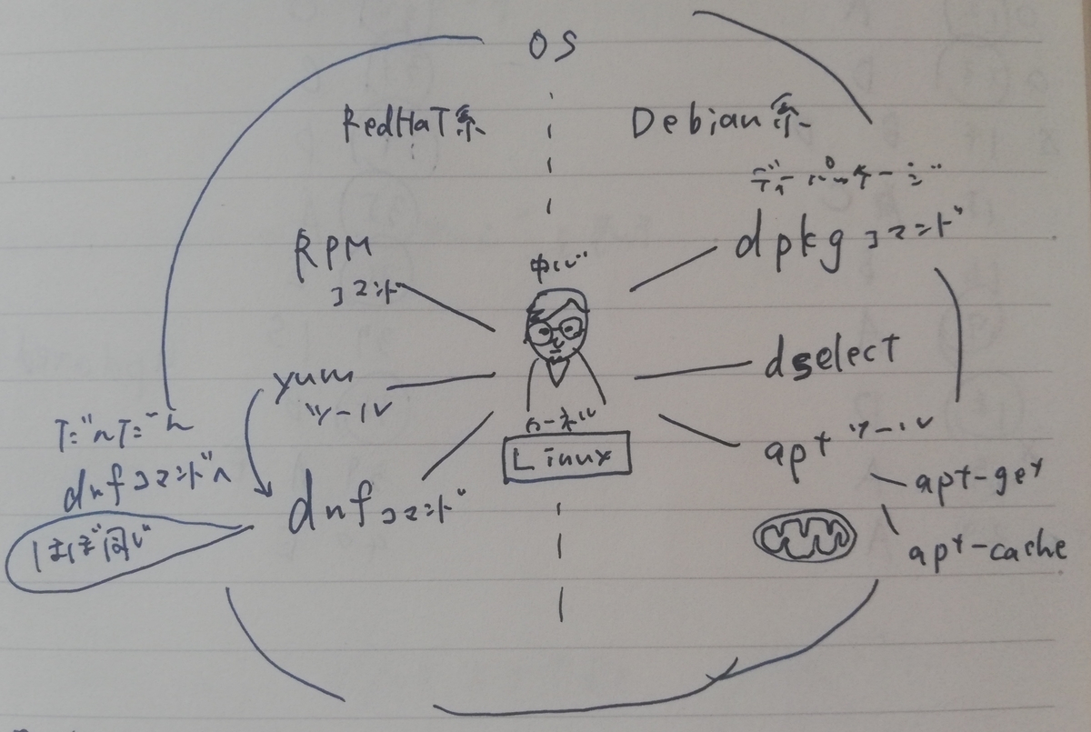 OS・カーネル・dpkg・RPT まとめてどんな関係なの LPIC101、2週間で合格！戦略的勉強方法と振り返り【level1受験記録】