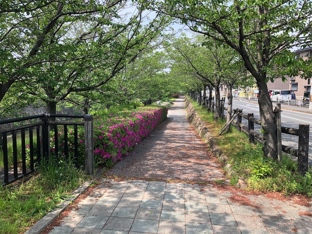 f:id:shoku-yoro:20200504102758j:image f:id:shoku-yoro:20200504102758j:image
