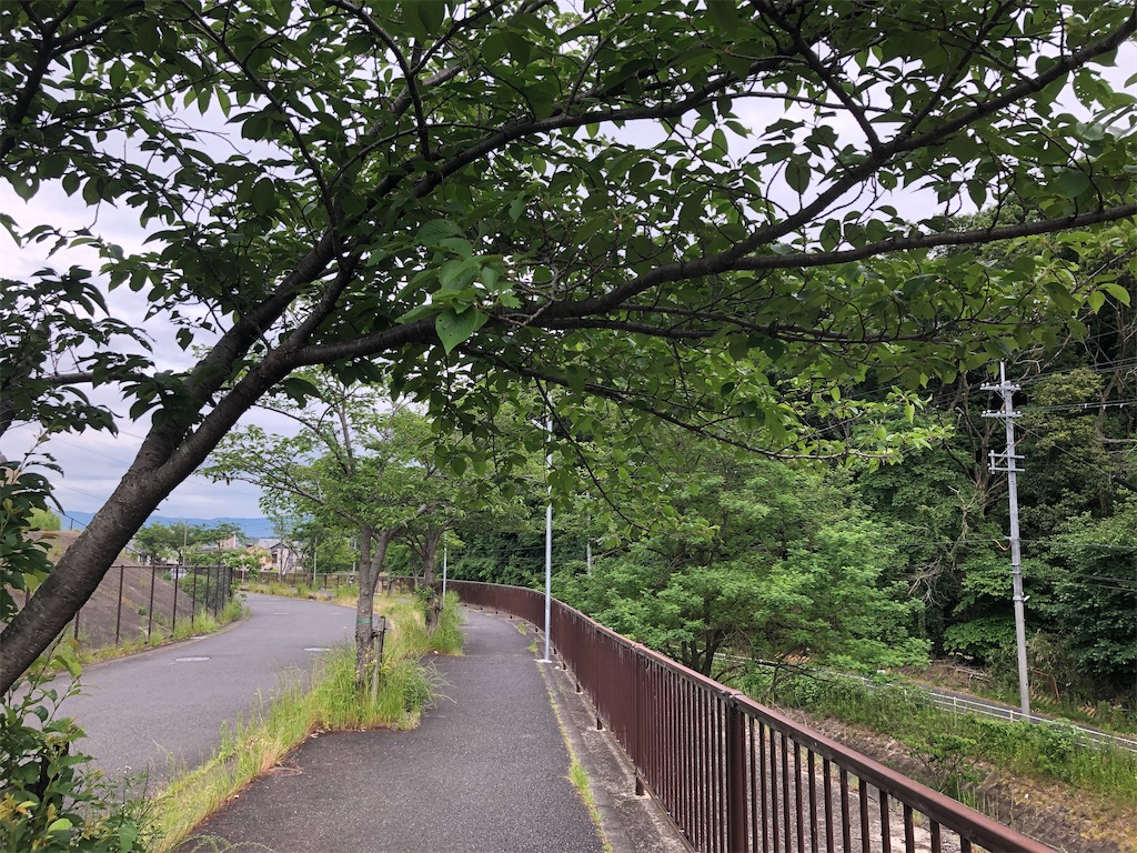 f:id:shoku-yoro:20200531224645j:image f:id:shoku-yoro:20200531224645j:image