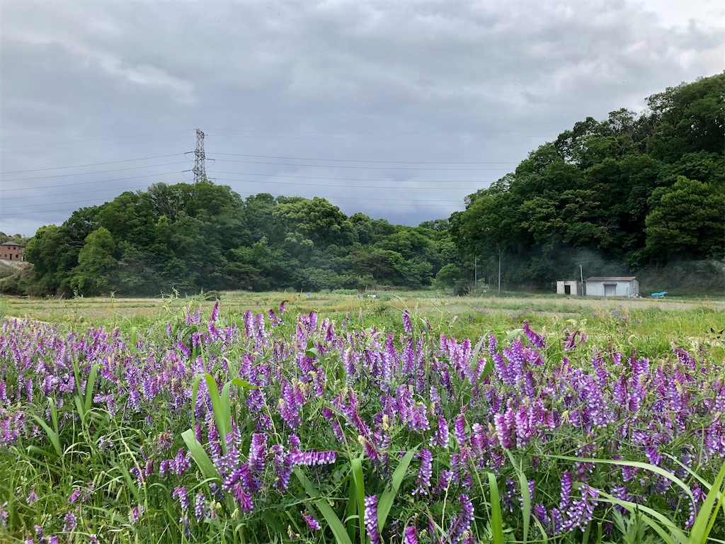 f:id:shoku-yoro:20200531224729j:image f:id:shoku-yoro:20200531224729j:image