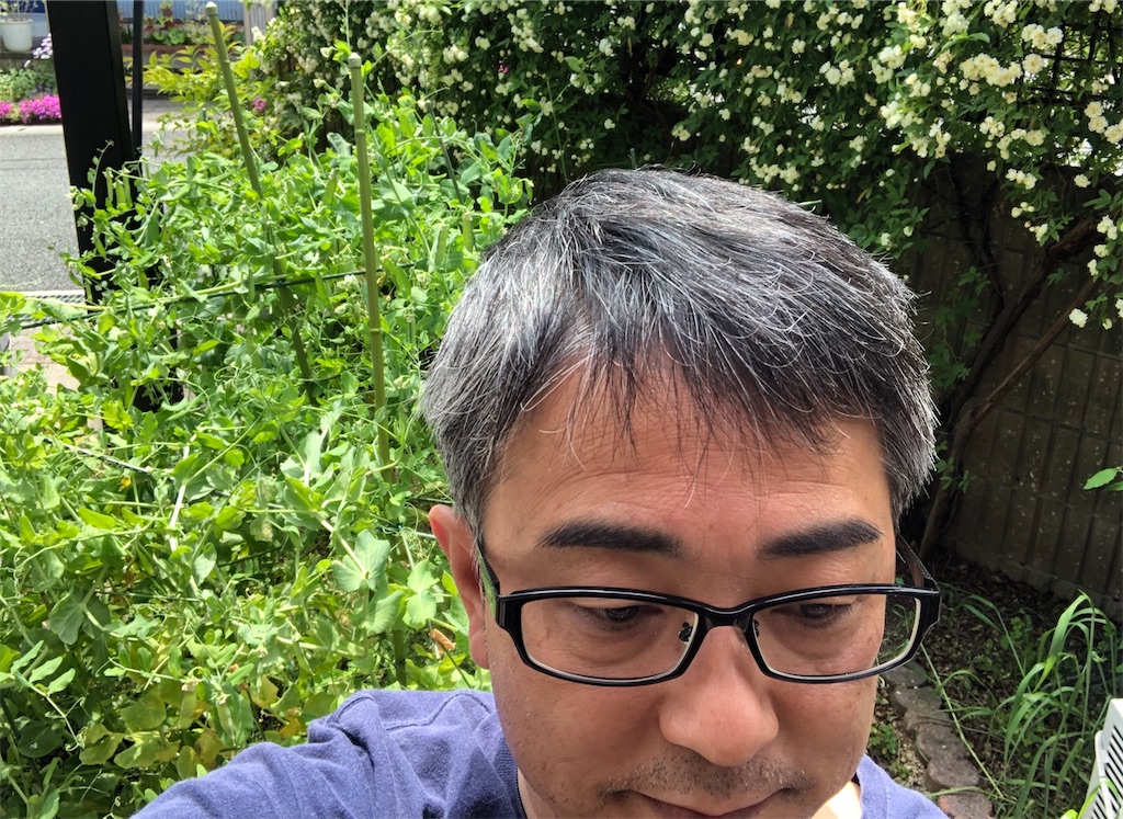 f:id:shoku-yoro:20200607124335j:image f:id:shoku-yoro:20200607124335j:image