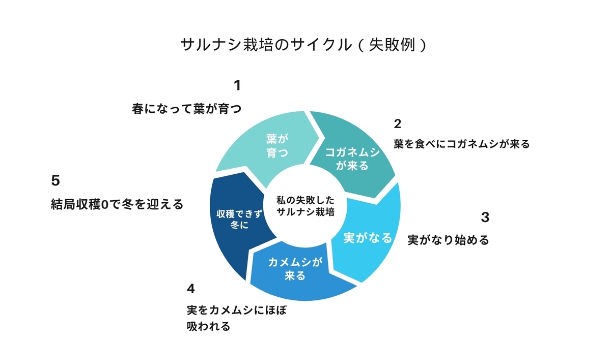 サルナシ栽培の失敗サイクル