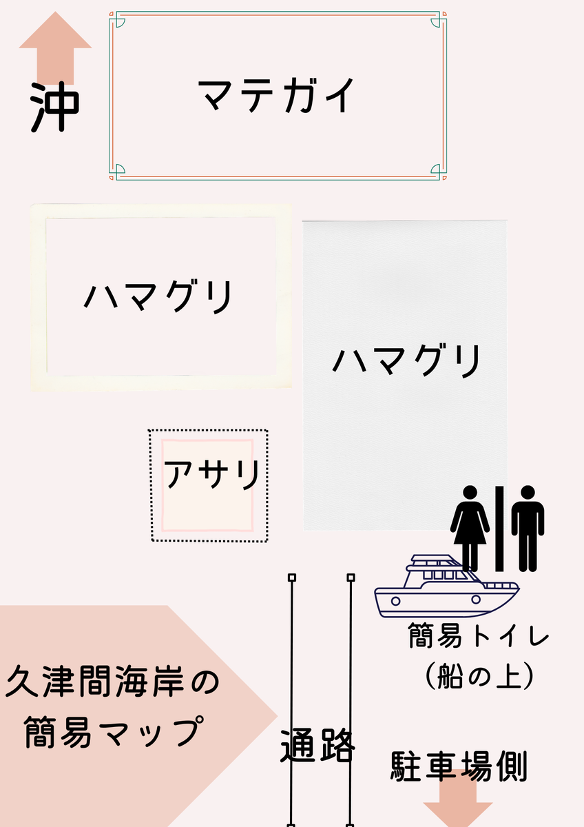 久津間海岸潮干狩り場の貝生息図（目安）