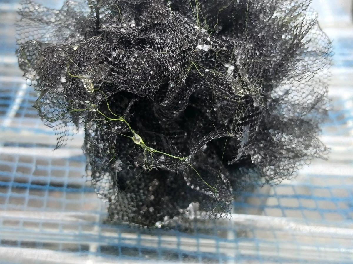 ころたまボール（沈むタイプ）