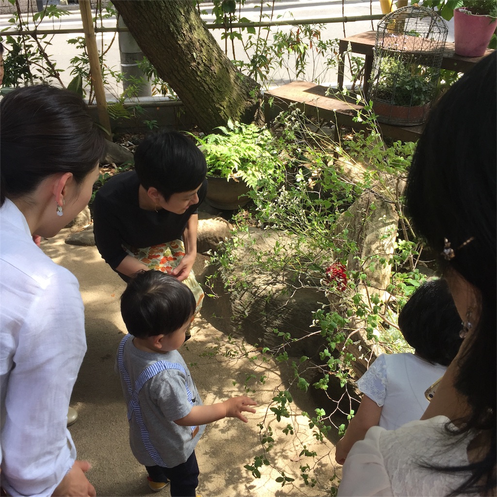 f:id:shokubutsuryoku:20170508081826j:image f:id:shokubutsuryoku:20170508081826j:image