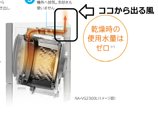 f:id:shokubutsuzoku:20190117175300p:plain