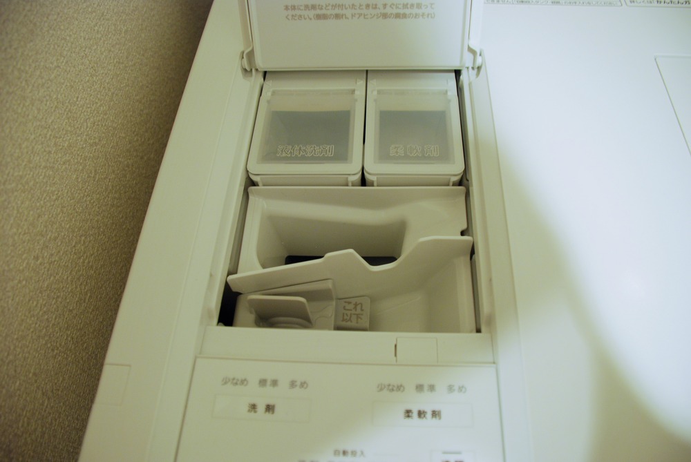 f:id:shokubutsuzoku:20190117175320j:plain