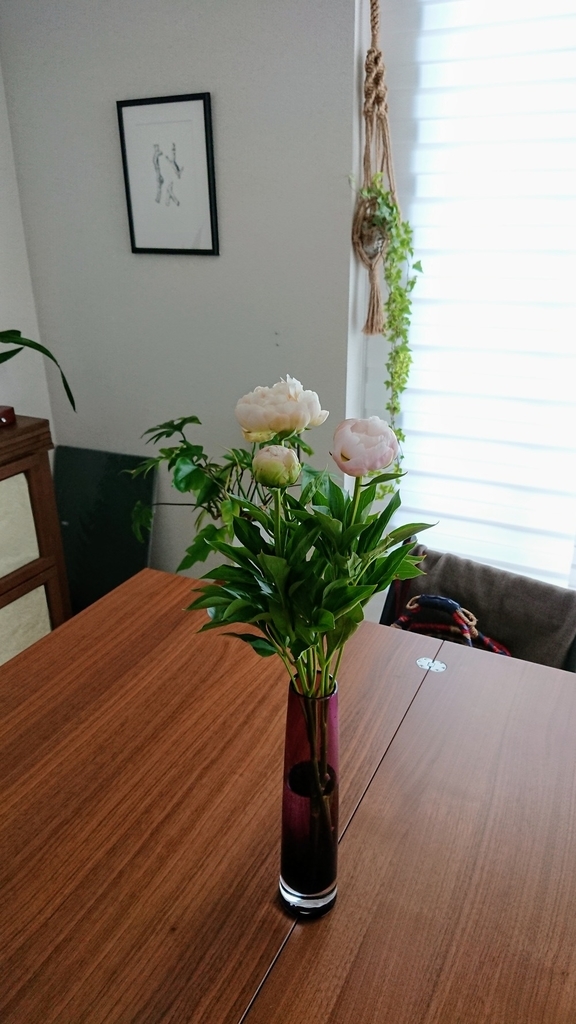 f:id:shokubutsuzoku:20190129174931j:plain
