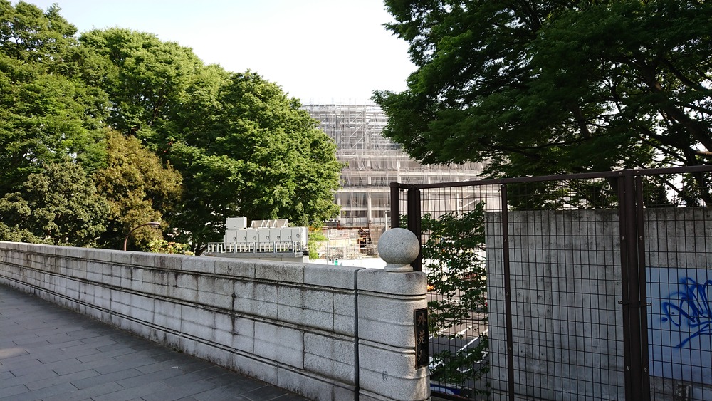 f:id:shokubutsuzoku:20190129174952j:plain