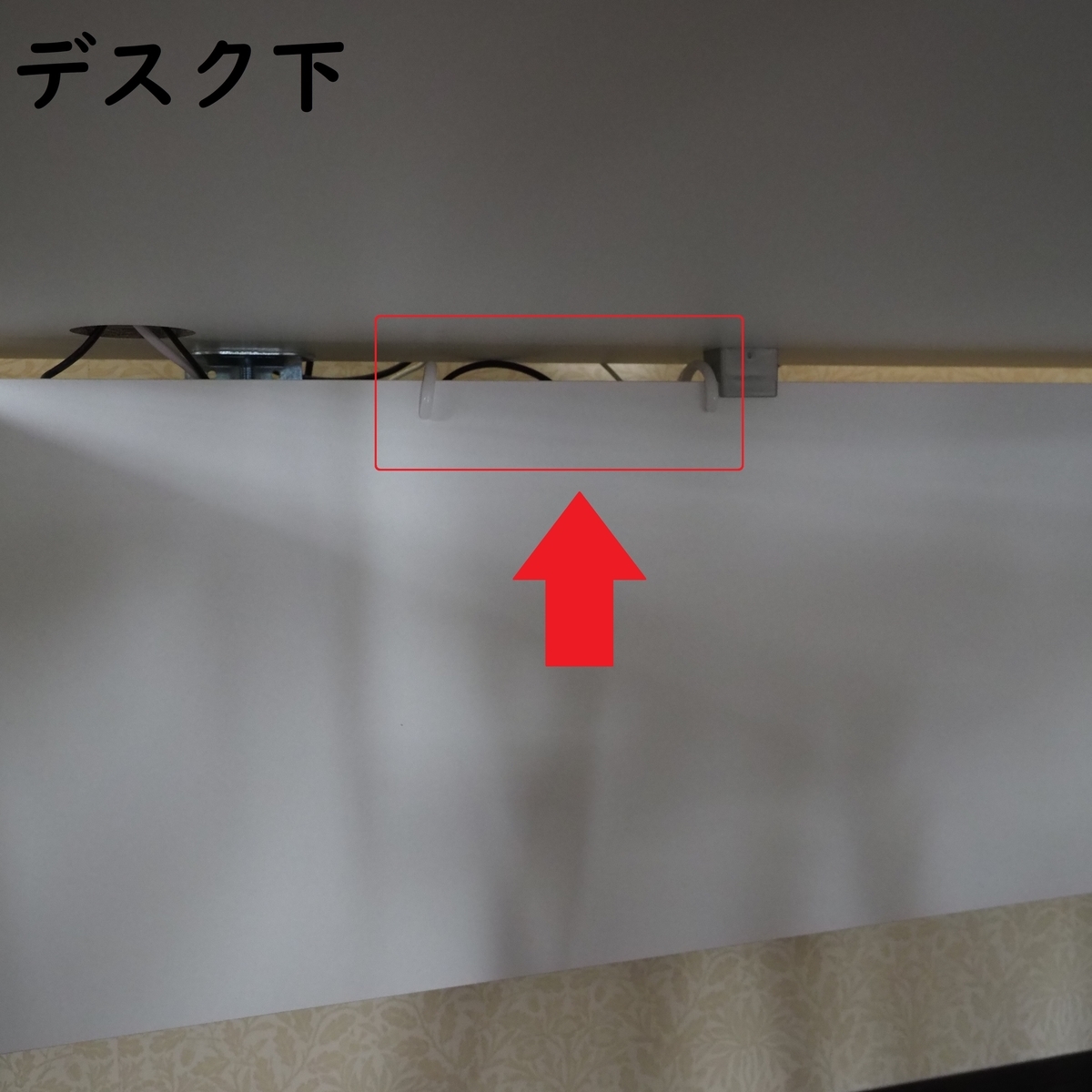 f:id:shokubutsuzoku:20190930110416j:plain