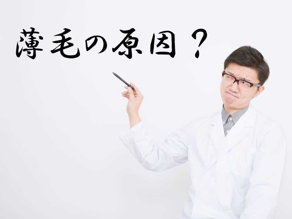 f:id:shokumou:20190310111926j:plain f:id:shokumou:20190310111926j:plain