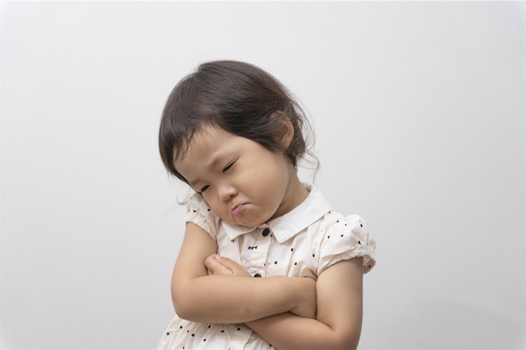 f:id:shokupannokimochi:20231220002642j:image f:id:shokupannokimochi:20231220002642j:image