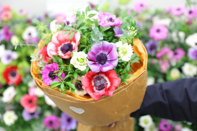 めざましテレビ のお花プレゼントキャンペーン 気まぐれ懸賞日和