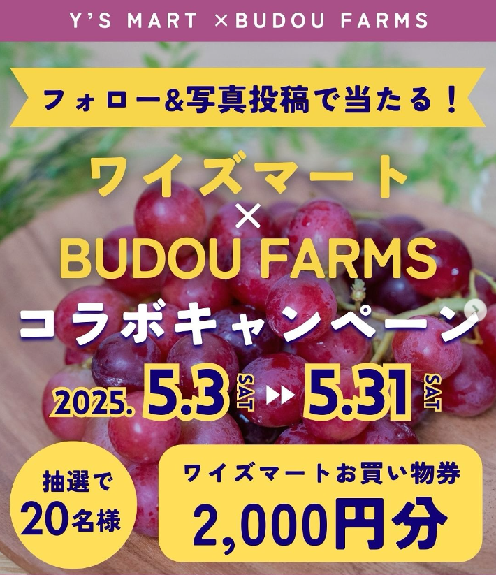 ワイズマート×BUDOU FARMS コラボキャンペーン