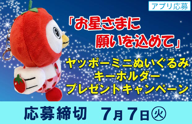 懸賞情報】ヤオコー 『お星さまに願いを込めて』ヤッポーミニ