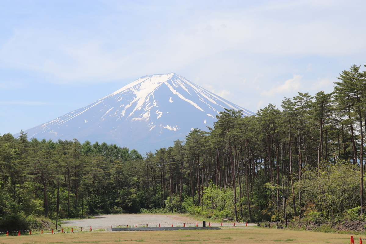 f:id:shonan_masaru:20190527110722j:plain