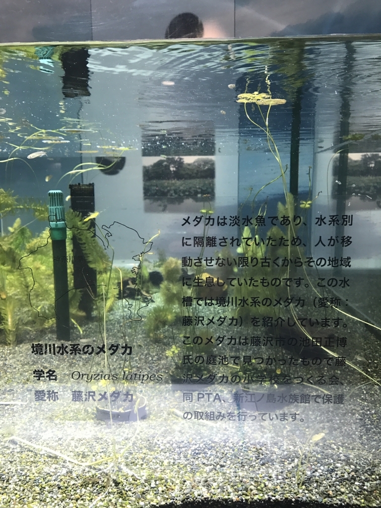 f:id:shonanlife:20171123182716j:plain f:id:shonanlife:20171123182716j:plain