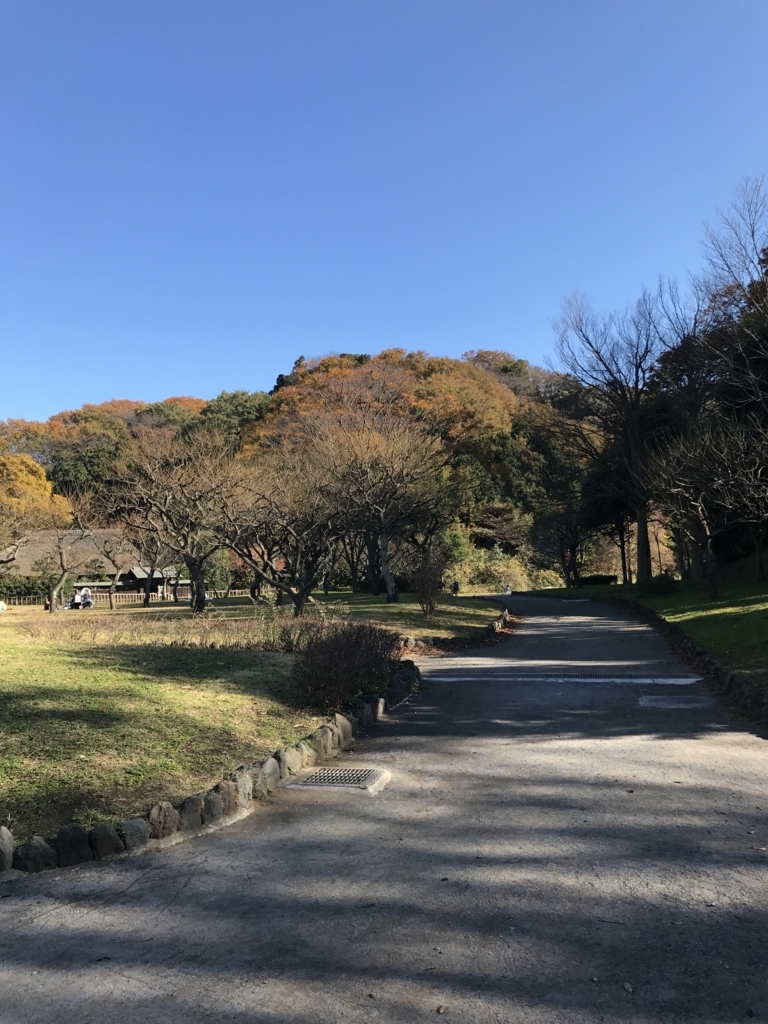 f:id:shonanlife:20171130211931j:plain f:id:shonanlife:20171130211931j:plain