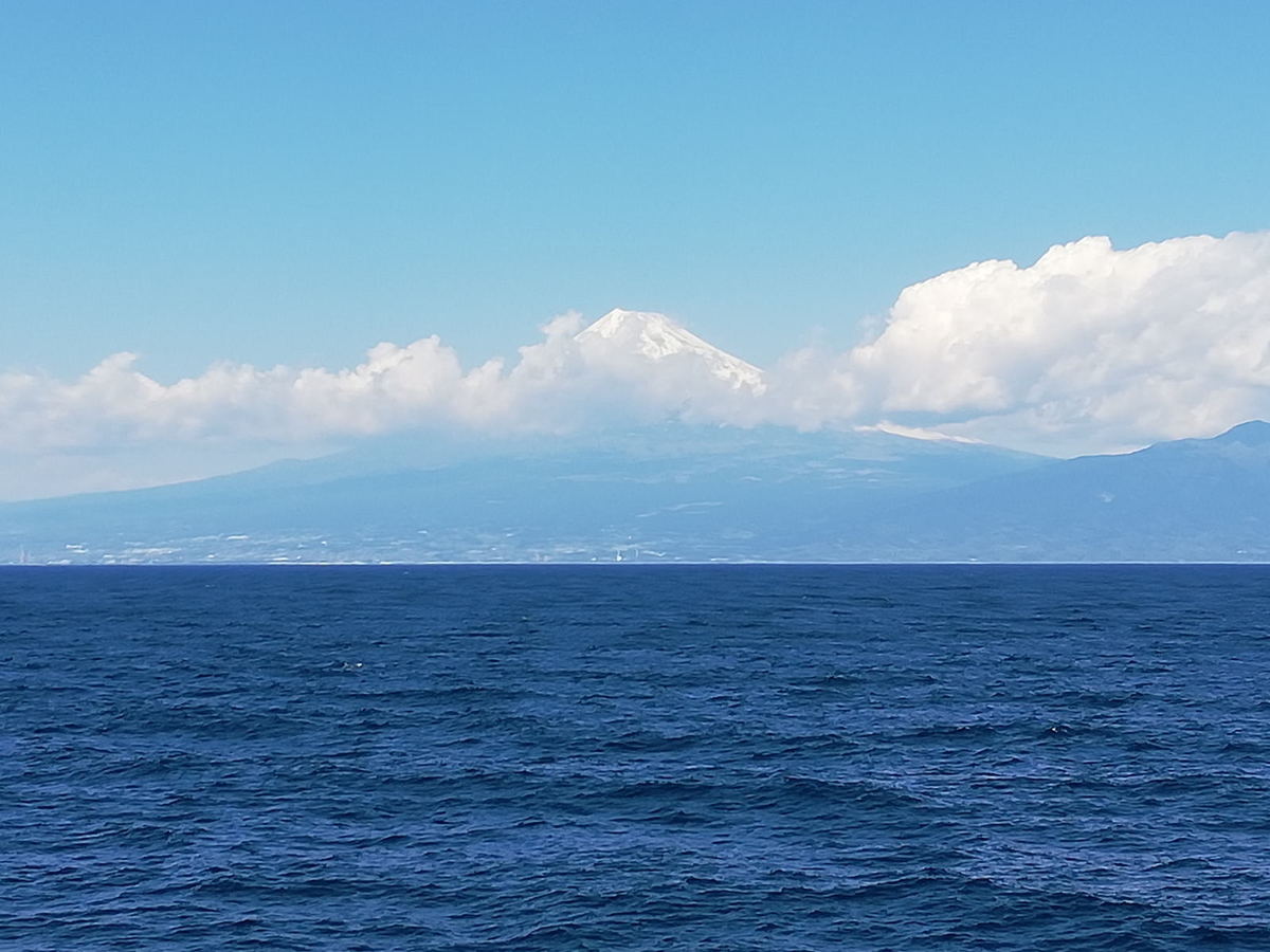 駿河湾より富士山