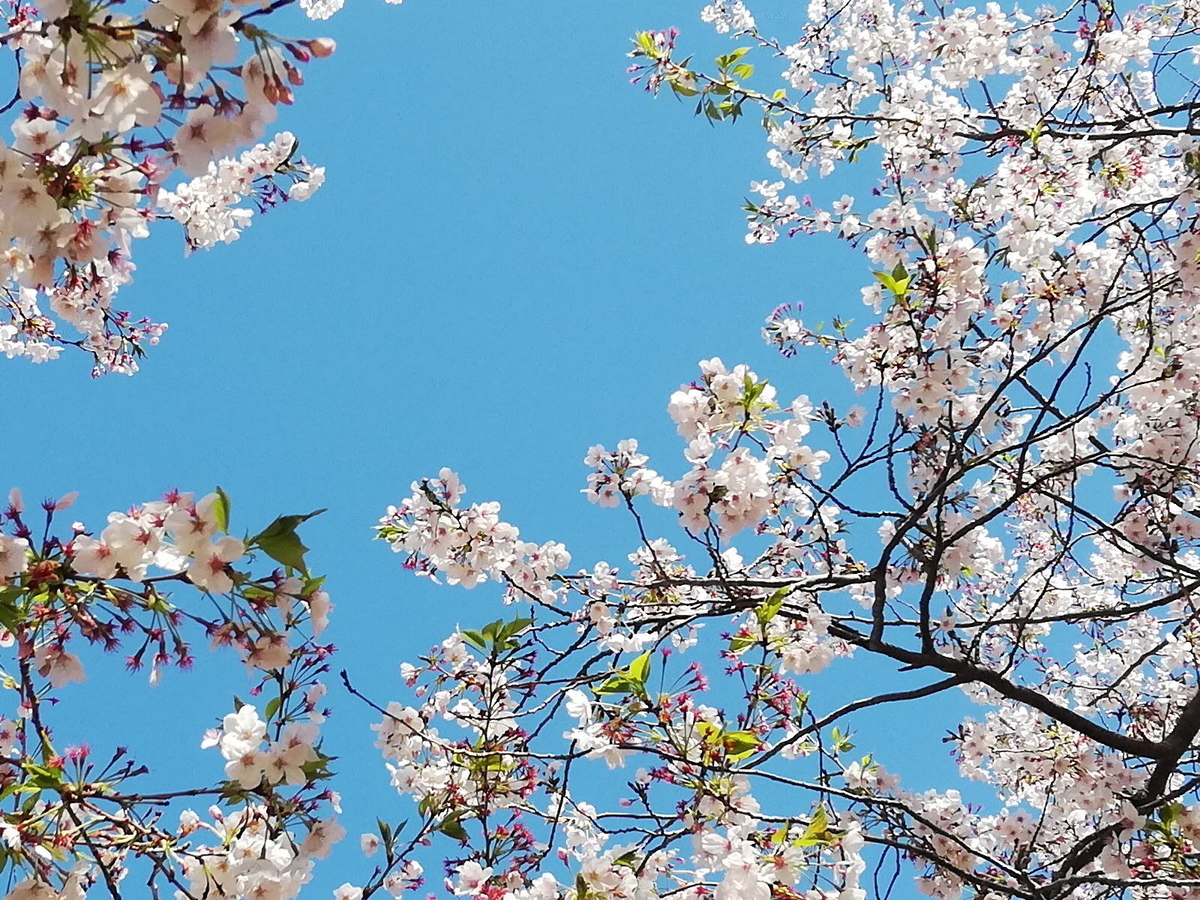 2日目の青空