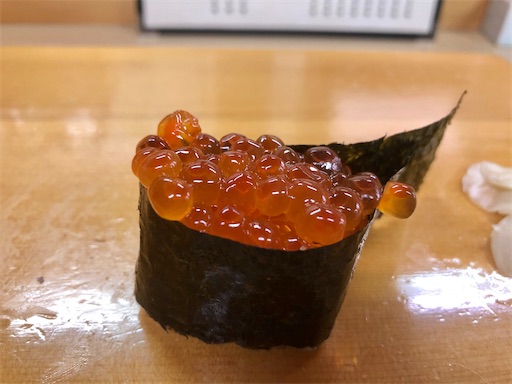 f:id:しょんりりまま:20210207225115j:image
