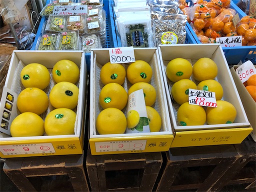 f:id:しょんりりママ:20240108085715j:image