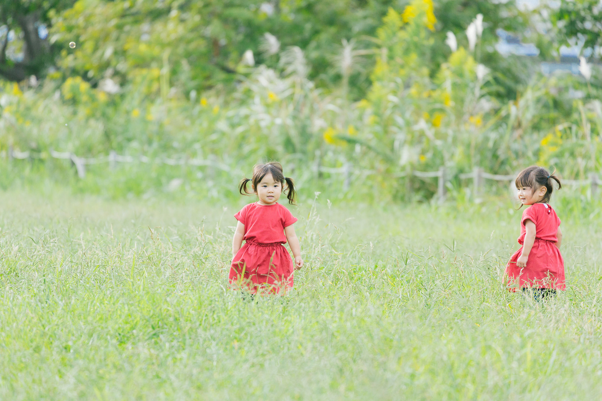 f:id:shontitch:20190323111820j:plain f:id:shontitch:20190323111820j:plain