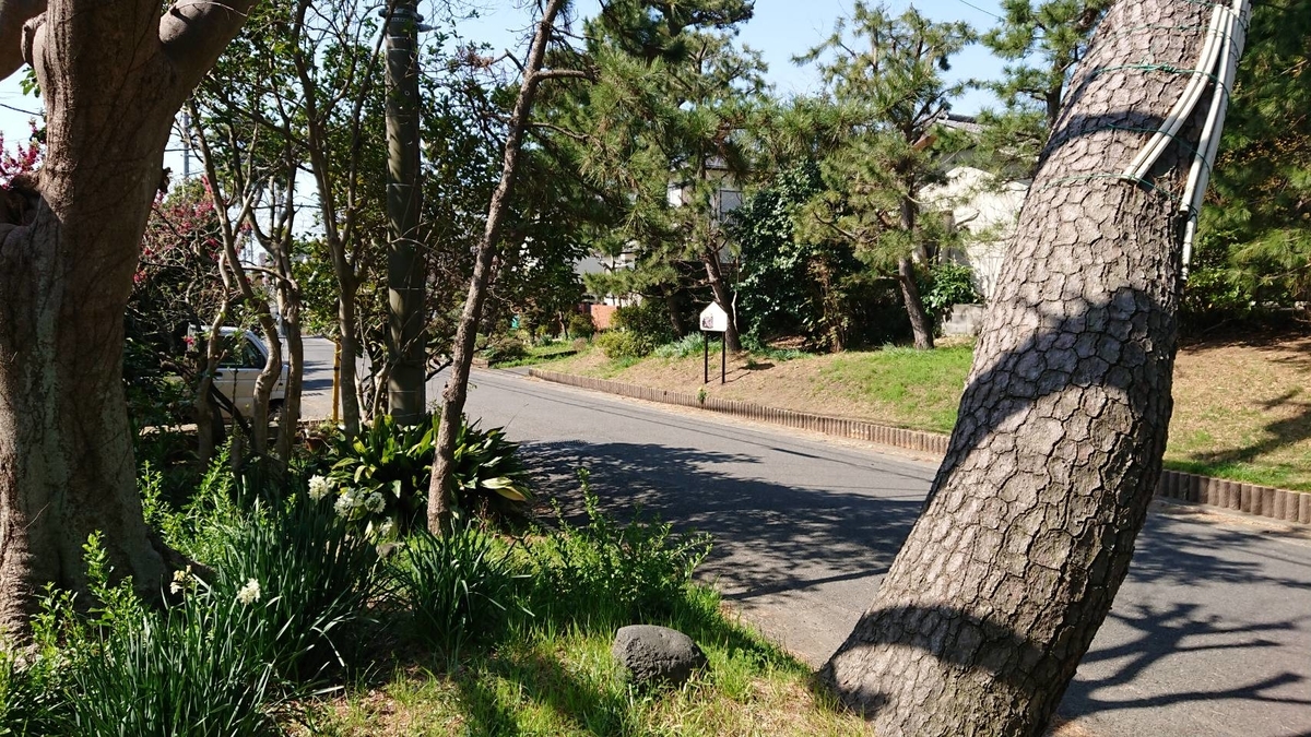 f:id:shoooy:20190524184412j:plain f:id:shoooy:20190524184412j:plain