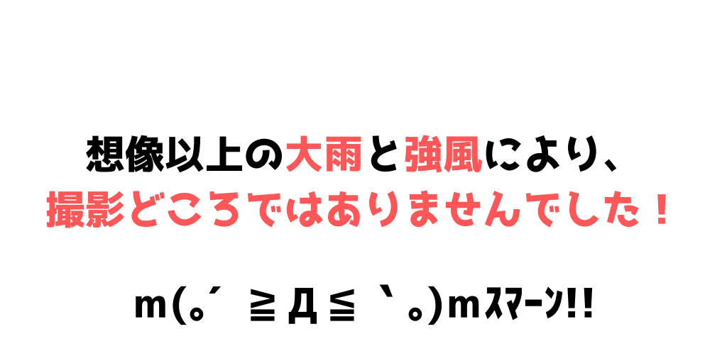 f:id:shoooy:20190524191539p:plain f:id:shoooy:20190524191539p:plain