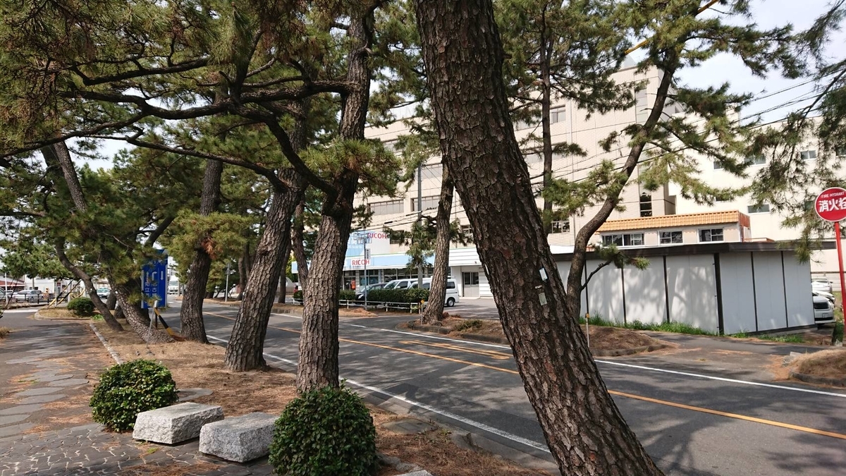f:id:shoooy:20190530023930j:plain f:id:shoooy:20190530023930j:plain
