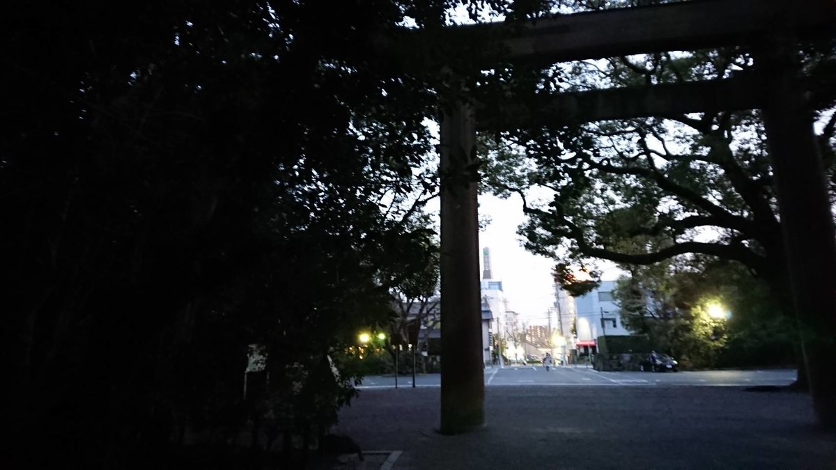 f:id:shoooy:20190530030816j:plain f:id:shoooy:20190530030816j:plain