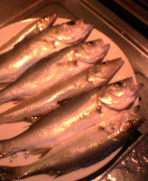 f:id:shootan:20071018215522j:image f:id:shootan:20071018215522j:image