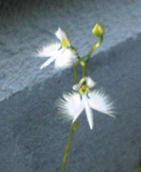 f:id:shootan:20071018215524j:image f:id:shootan:20071018215524j:image