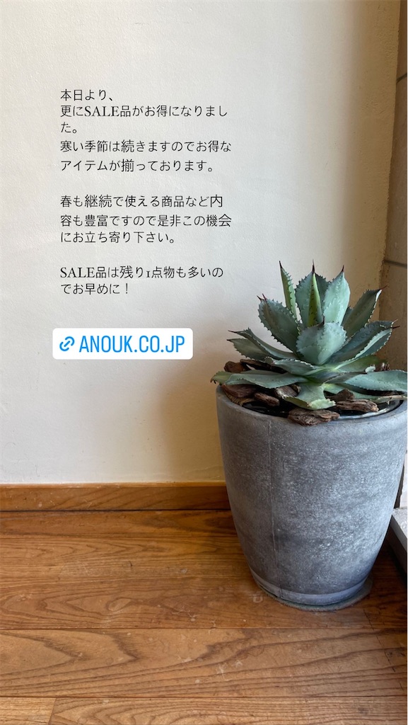 f:id:shop-anouk:20230110150448j:image