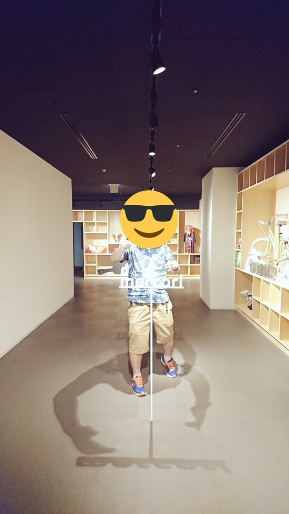 f:id:shopetan:20170902224805j:plain