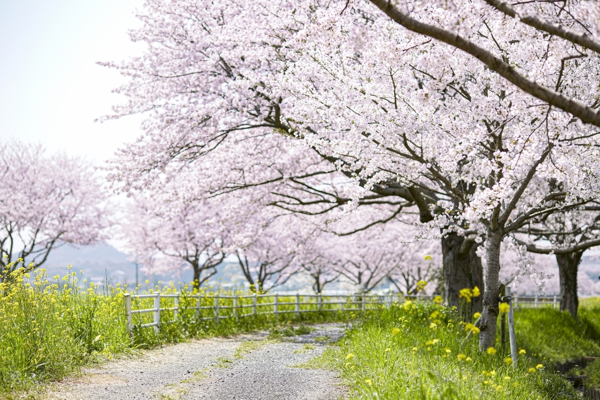 f:id:shoppingowl:20210831002218j:plain