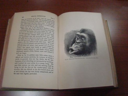 f:id:shorebird:20091208203056j:image