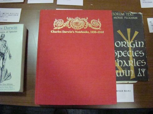 f:id:shorebird:20091209193643j:image