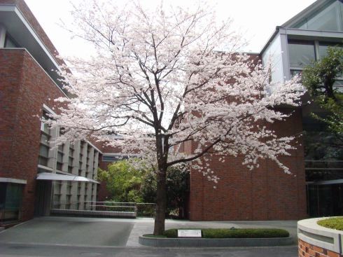 f:id:shorebird:20100406190037j:image