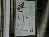 f:id:shorebird:20110814092657j:image:right