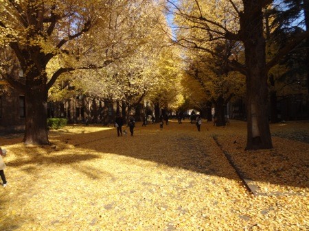 f:id:shorebird:20121218205715j:image