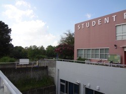 f:id:shorebird:20131002204345j:image:right f:id:shorebird:20131002204345j:image:right