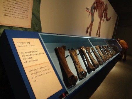 f:id:shorebird:20141005092203j:image