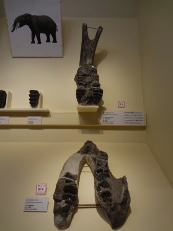 f:id:shorebird:20141005092204j:image