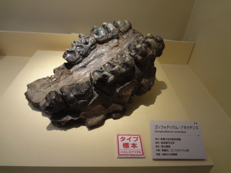 f:id:shorebird:20141005092205j:image