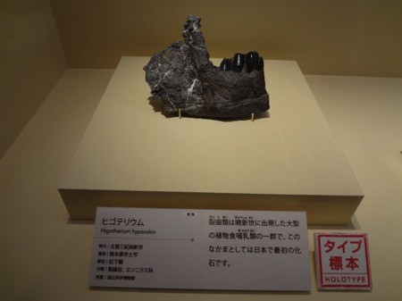 f:id:shorebird:20141005092206j:image